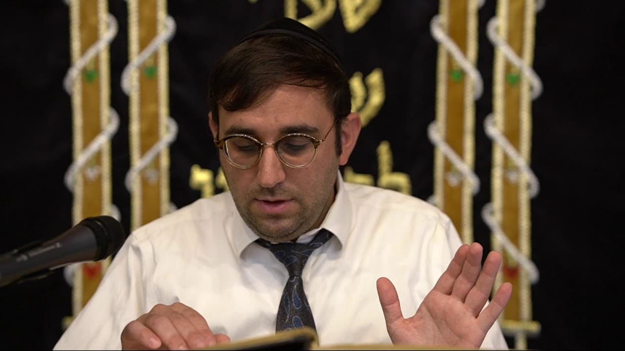 Daf Yomi | Kiddushin 19