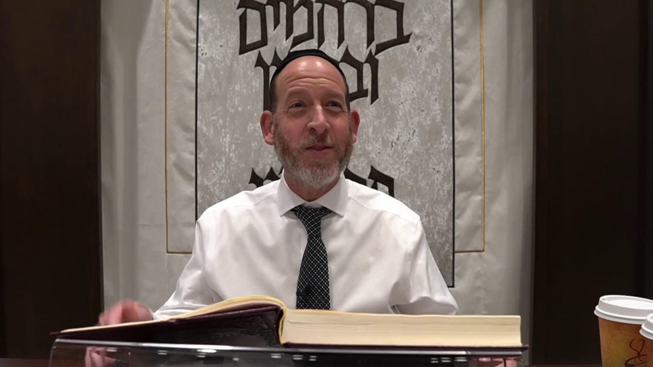 Daf Yomi | Zevachim 17