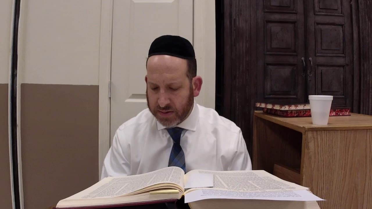 Chullin 113 with Rabbi Shmuel Silber