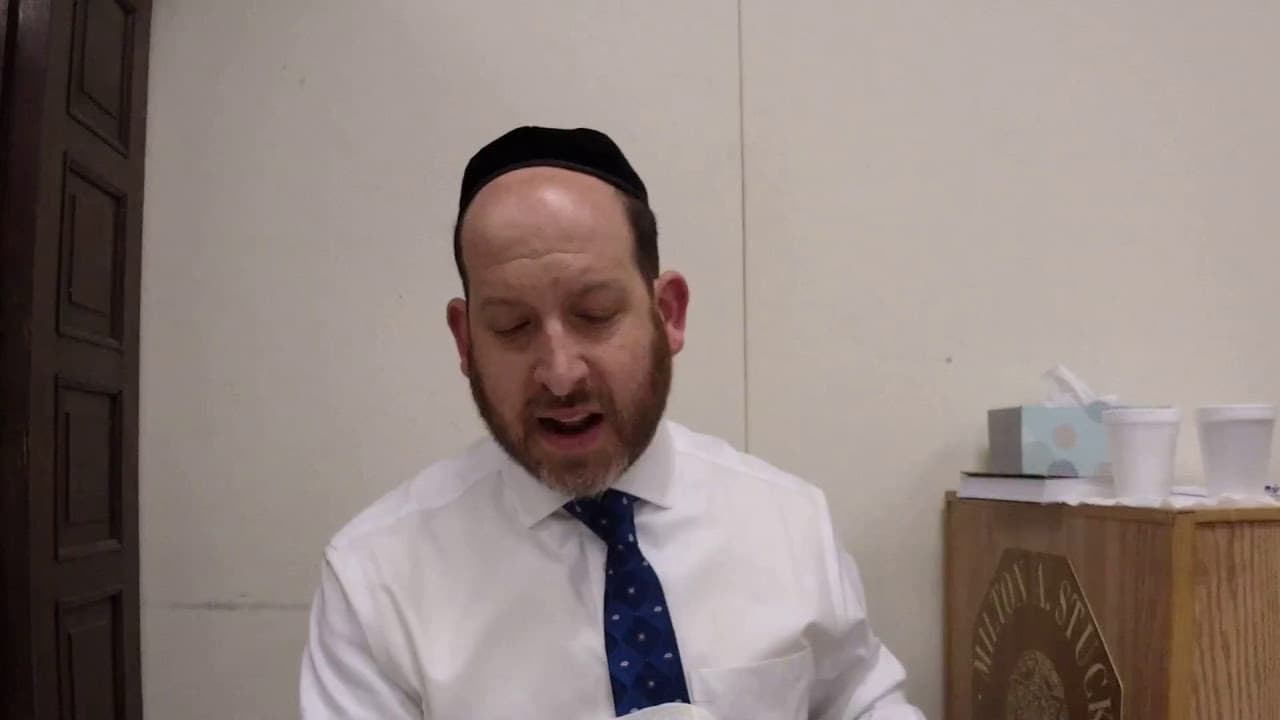 Avodah Zara 65