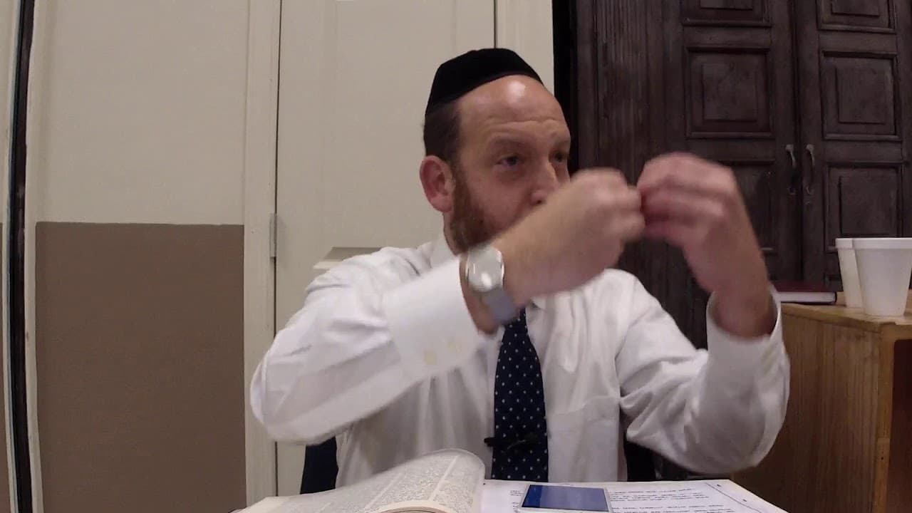 Bechoros 16 with Rabbi Shmuel Silber