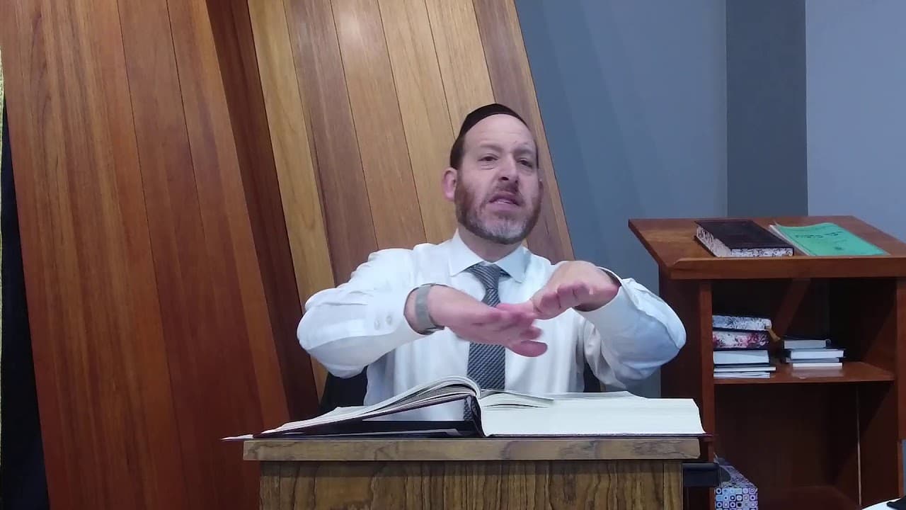 Daf Yomi: Pesachim 43