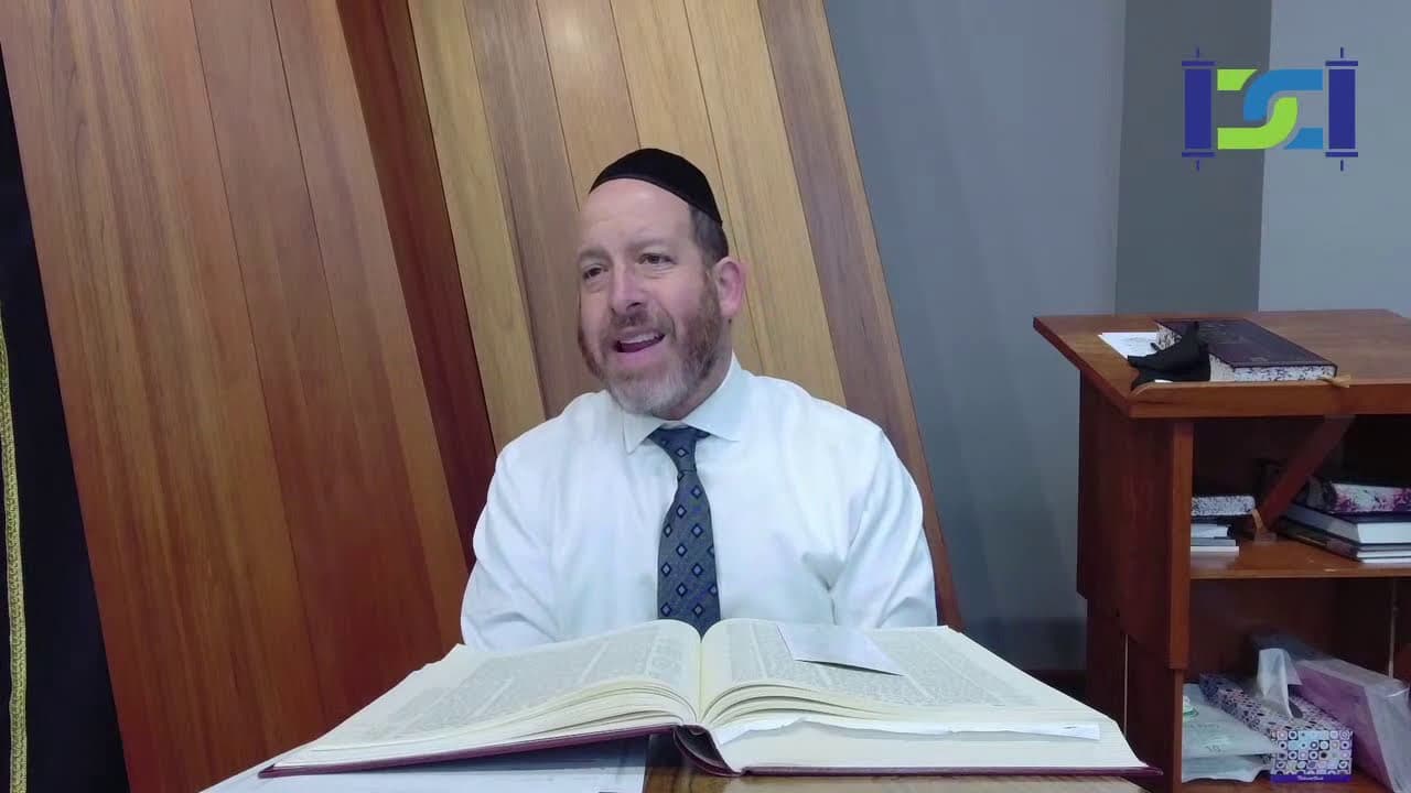 Daf Yomi: Pesachim 85