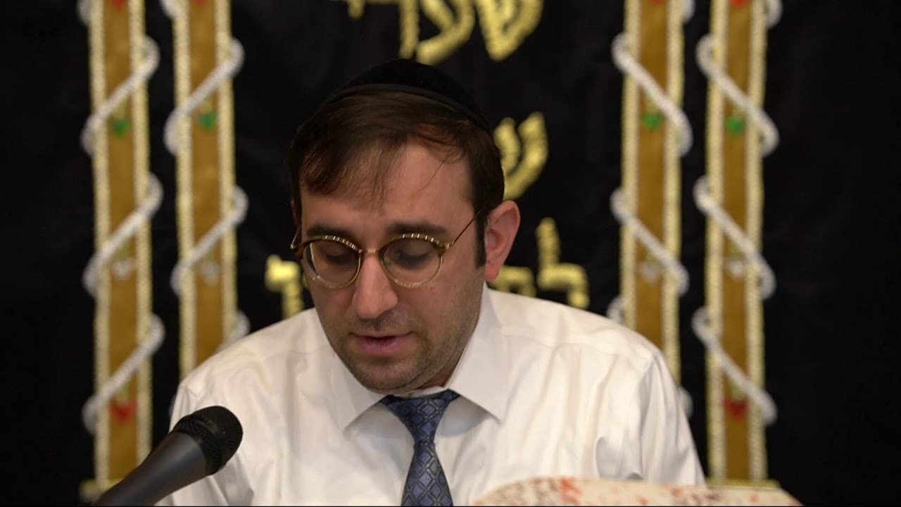 Daf Yomi | Bava Kama 42
