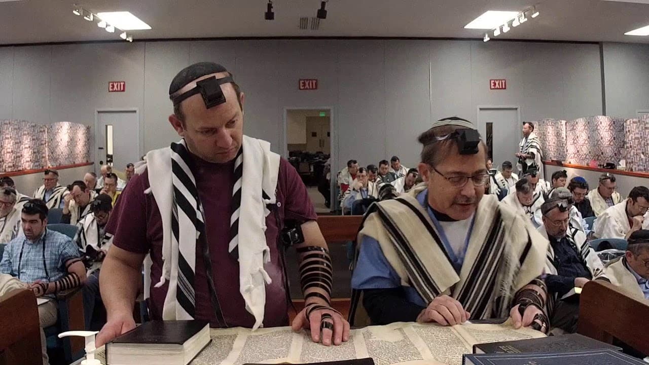 Megillas Esther at Suburban Orthodox