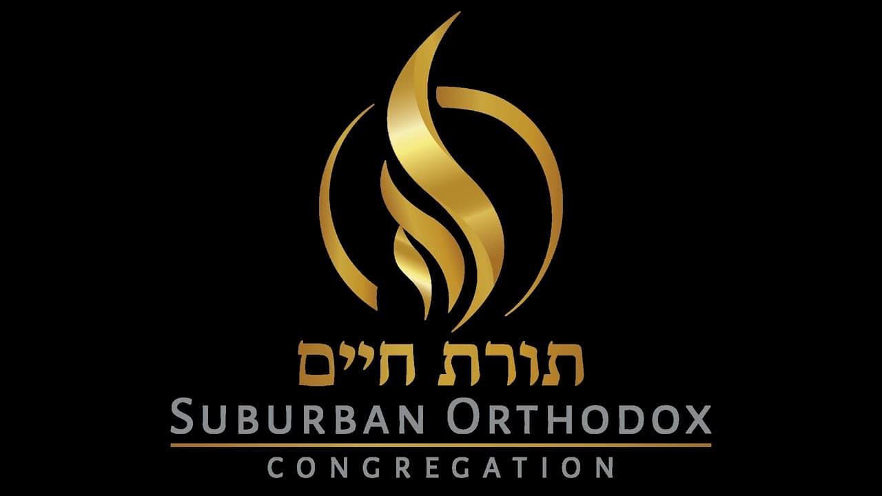 Daf Yomi Horayos 2 (audio-only) | Rabbi Shmuel Silber 