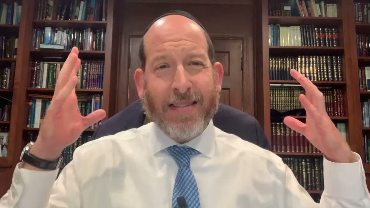Virtual Drasha: Grab the Dove (Noach)