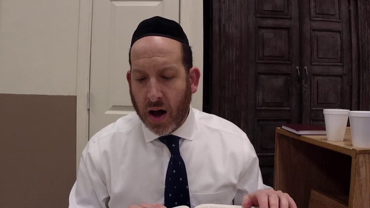 Chullin 112 with Rabbi Shmuel Silber