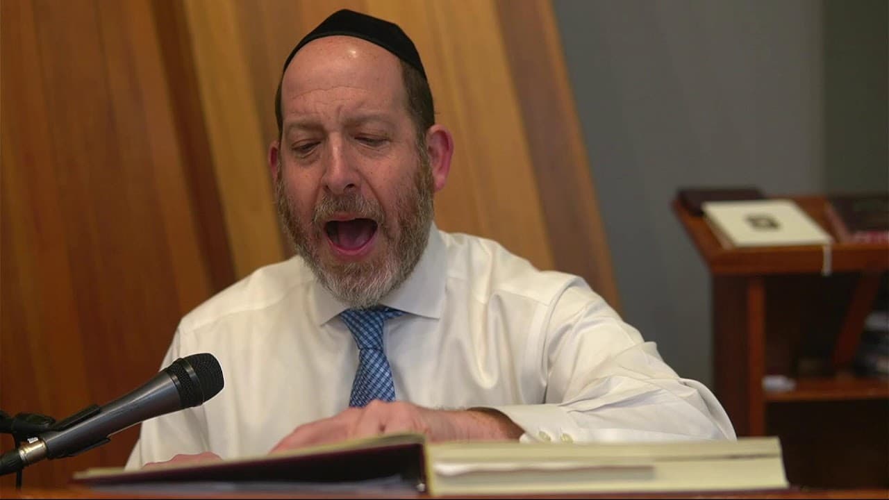 Daf Yomi | Sanhedrin 9