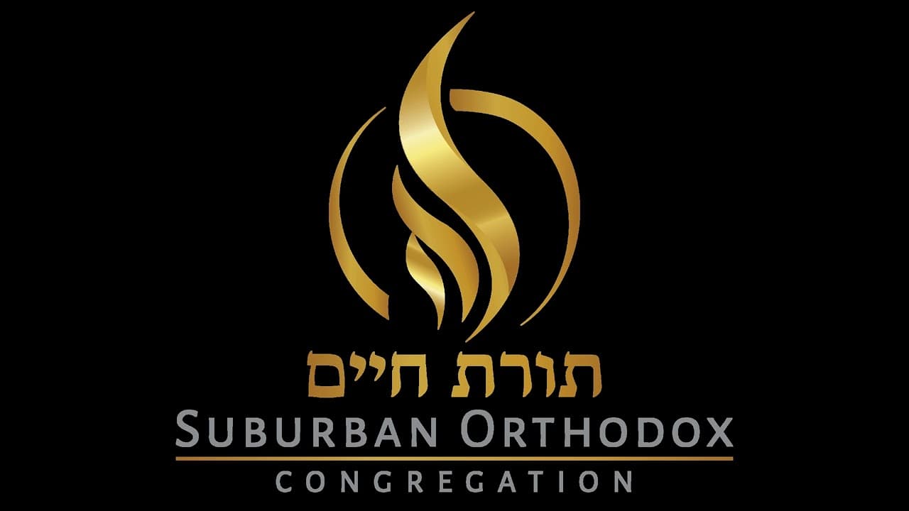 Daf Yomi: Avoda Zara 14 (audio-only) | Rabbi Shmuel Silber