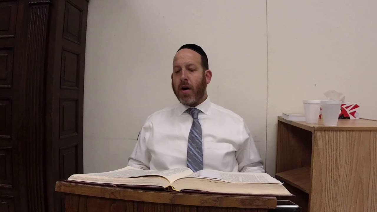 Zevachim 116 with Rabbi Shmuel Silber
